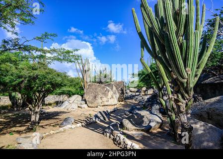 Un parc sur l'île des Caraïbes d'Aruba aux formations rocheuses de Casibari Banque D'Images