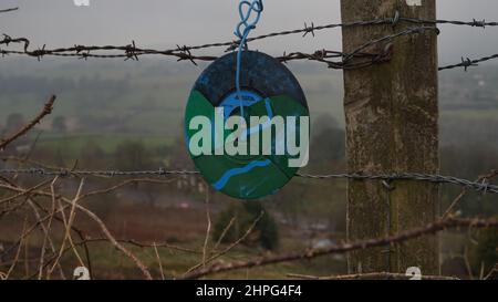 Les célibataires en vinyle, peints avec des motifs abstraits, sont exposés sur des clôtures à la campagne. Street Art. Anonyme. Derbyshire. Banque D'Images