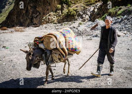 26 août 2016, col de l'Anzob, Tadjikistan : un homme local avec un mulet près du col de l'Anzob au Tadjikistan Banque D'Images