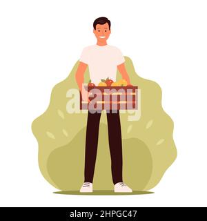 Un jeune homme se tient avec une boîte de pommes fraîches. Récolte saisonnière. Fruits mûrs et sains. Illustration vectorielle plate Illustration de Vecteur