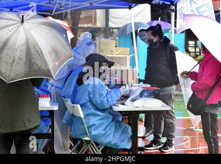 Hong Kong, Chine. 21st févr. 2022. Les travailleurs médicaux enregistrent les renseignements sur les citoyens qui reçoivent des tests COVID-19 sur un site d'essai à Hong Kong, dans le sud de la Chine, le 21 février 2022. Hong Kong a signalé lundi 7 533 nouveaux cas et 13 décès de COVID-19, selon les données officielles. Crédit : Lo Ping Fai/Xinhua/Alamy Live News Banque D'Images