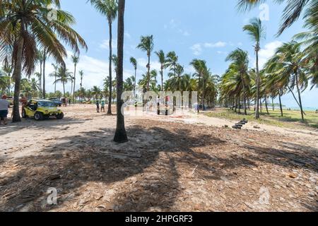 Ipojuca, PE, Brésil - 15 octobre 2021 : chauffeurs de voiturette et touristes à Rota dos Coqueiros sur la plage de Maracaipe. Banque D'Images