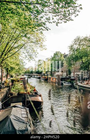 Vue sur les bateaux de la Maison sur Prinsengracht, Amsterdam, pays-Bas Banque D'Images
