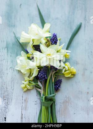 Bouquet de printemps avec narcissi sur fond de bois peint décoloré Banque D'Images