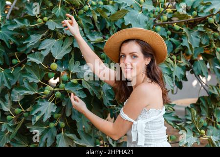 Belle jeune femme en chapeau de paille récolte des figues mûres de figuier dans le verger de jardin. Fille caucasienne en robe romantique élégante cueillant des fruits à la ferme Banque D'Images