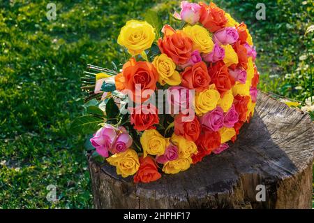 bouquet de fleurs - une composition de roses multicolores sur une souche de bois sur un fond vert d'herbe. L'arrière-plan de la carte postale. Banque D'Images