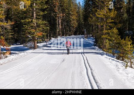 Ski à Glacier point depuis Badger Pass, parc national Yosemite, Californie, États-Unis Banque D'Images