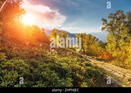 Vue fantastique sur la vallée alpine au pied du mont Ushba. Scène dramatique le matin. Lieu Mestia, Haut-Svaneti, Géorgie, Europe. Haut Caucase r Banque D'Images