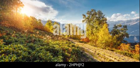 Vue fantastique sur la vallée alpine au pied du mont Ushba. Scène dramatique le matin. Lieu Mestia, Haut-Svaneti, Géorgie, Europe. Haut Caucase r Banque D'Images