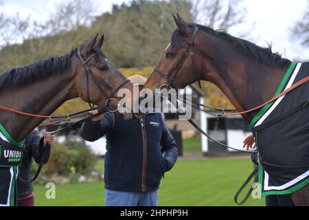 Nicky Henderson avec gauche Constitution Hill et droite Jon bon qui sont à la course contre l'un l'autre dans l'obstacle suprême novice. Entraîneur de course ni Banque D'Images