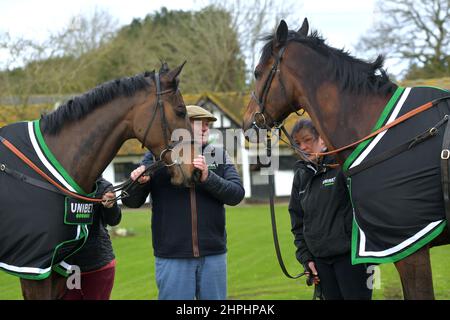 Nicky Henderson avec gauche Constitution Hill et droite Jon bon qui sont à la course contre l'un l'autre dans l'obstacle suprême novice. Entraîneur de course ni Banque D'Images