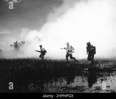 Crack troupes de l'armée vietnamienne dans les opérations de combat contre les guérillas communistes Viet Cong. Le terrain marécageux du pays du delta rend leur travail d'enracinement des terroristes dangereux et extrêmement difficile ca. 1961 Banque D'Images