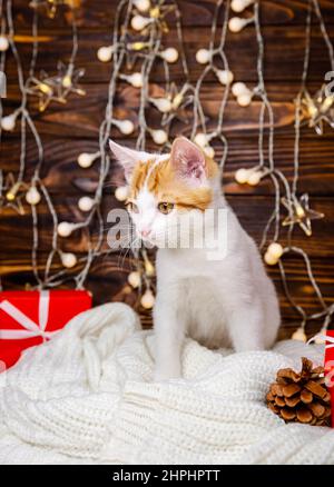 Chat blanc jouant avec la guirlande et boîte cadeau sous l'arbre de Noël Banque D'Images