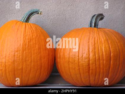 Photo en gros plan de deux citrouilles orange sur une étagère, devant un mur beige texturé. Banque D'Images