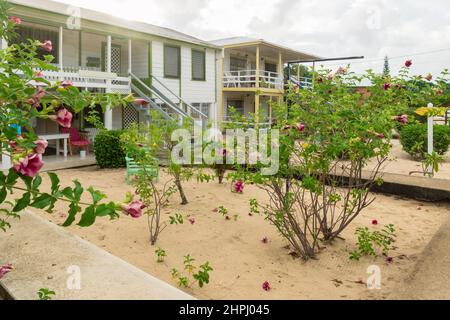 Maison de village typique en bois blanc le long de la côte à Placencia, Belize Banque D'Images