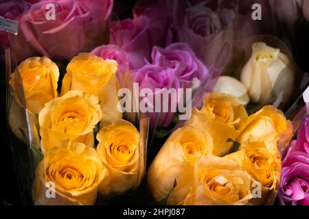 Bouquet de fleurs avec roses pourpres et orange enveloppées dans un emballage en plastique Banque D'Images