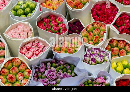 Bouquets de fleurs enveloppés de papier blanc dans un fleuriste de Hong Kong Banque D'Images