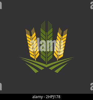 Icône graphique représentant les épis de céréales et les épis de blé. Agriculture et cultures alimentation icône isolée avec le seigle, l'orge ou l'oreille de riz, tige de millet. Céréales récolte agricole, soit Illustration de Vecteur