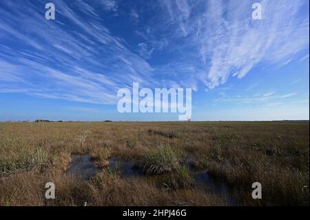 Vue sur l'immense prairie de sawgrass depuis Pa Hay Okee, vue sur le parc national des Everglades, Floride. Banque D'Images