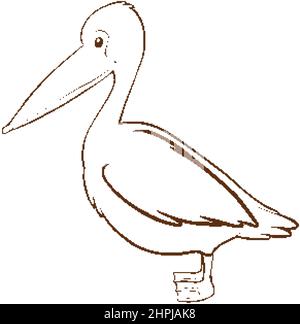 Pelican en forme de doodle simple sur fond blanc illustration Illustration de Vecteur