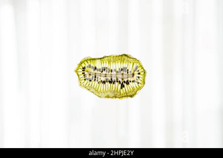 Croustilles de kiwi séchées. En-cas naturels et sains. Fruits secs de régime. Gros plan sur les tranches de kiwi. Fruits secs biologiques. Banque D'Images