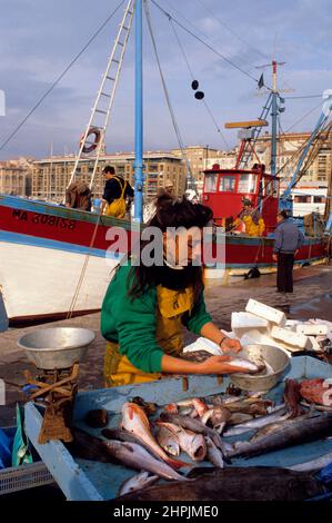 PECHE EN MER MÉDITERRANÉE CHALUTIER PORT DE MARSEILLE Banque D'Images