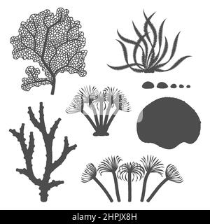 Jeu d'illustrations en noir et blanc avec coraux et algues.Objets vectoriels isolés sur fond blanc. Illustration de Vecteur