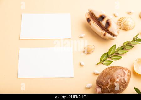 Composition de cartes de visite en papier blanc, coquillages, buis vert. maquette sur fond orange. Vide, vue latérale, durée de vie, espace de copie. Travel con Banque D'Images