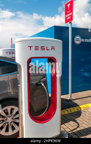 Recharge de voiture électrique à un point de recharge pour les voitures électriques Tesla montrant le nom et le logo Tesla. Banque D'Images