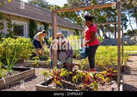 La femme mature caucasienne croise par plantbed tandis que la fille afro-américaine arrose des plantes Banque D'Images