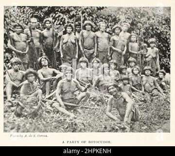 Un parti de Botocudos l'Aimoré (Aymore, Aimboré) est un de plusieurs peuples sud-américains de l'est du Brésil appelé Botocudo en portugais (de botoque, un bouchon), en allusion aux disques en bois ou tembetás portés dans leurs lèvres et oreilles. Certains se sont appelés NAC-nanuk ou NAC-poruk, ce qui signifie «des souillures du sol». Le dernier groupe Aimoré à conserver sa langue est le Krenak. Les autres peuples appelés Botocudo étaient les Xokleng et Xeta. Extrait du livre The Living races of Humen; Volume 2 de Henry Neville Hutchinson, publié à Londres en 1901 par Hutchinson & co Banque D'Images