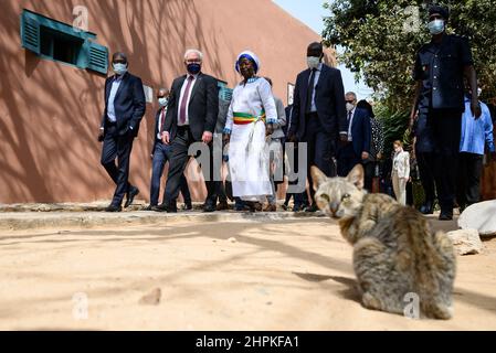 Dakar, Sénégal. 22nd févr. 2022. Le président allemand Frank-Walter Steinmeier visite l'île de Gorée et se promène dans le centre-ville en compagnie du maire adjoint Henriette Faye Pina. Le Président Steinmeier effectue une visite de trois jours en République centrafricaine de l'Ouest du Sénégal. Credit: Bernd von Jutrczenka/dpa/Alamy Live News Banque D'Images