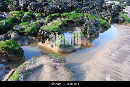 Poosl de sable et de roche de différentes couleurs, Whitby Beach, Yorkshire. Banque D'Images