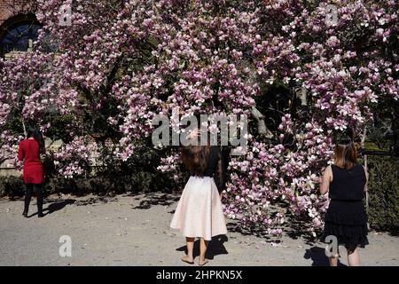 (220222) -- WOODSIDE, 22 février 2022 (Xinhua) -- les visiteurs visitent la maison et le jardin historiques de Filoli à Woodside, Californie, États-Unis, 21 février 2022. (Xinhua/Wu Xiaoling) Banque D'Images