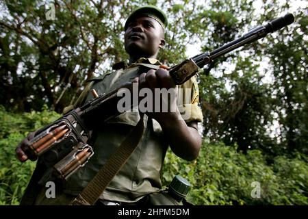 Carlos Schuler, secouriste des gorilles des plaines près de Bukavu, Kivu, Congo. Sans Carlos Schuler, chef du parc national de Biega près de Bukavu, sur le lac Kivu, dans l'est du Congo, il n'y aurait plus de gorilles. Le directeur du parc suisse a négocié à plusieurs reprises avec les parties belligérantes pour sauver les animaux, au risque de sa vie. La population des animaux s'est rétablie depuis la guerre, également parce qu'il a formé d'anciens braconniers à devenir des Rangers. Pour les 400 éléphants, cependant, il n'y a pas eu de sauvetage. Banque D'Images