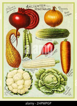 Livre illustré de LÉGUMES millésimés - graines de légumes et de fleurs de Rawson - W.W. Rawson and Co. (1895) couverture du catalogue de semences de légumes pour les légumes Arlington, y compris l'oignon Egytien Crobbys Imp, le globe jaune, le col de cygne d'été, le rachis blanc Rawsons, Banque D'Images