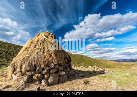 Voyage au Lesotho. Un rondavel, la cabane traditionnelle des bergers de Basotho Banque D'Images