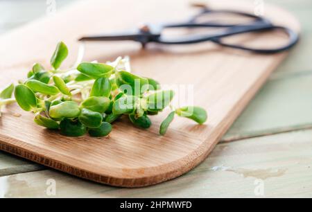 Des pousses de tournesol fraîchement coupées sur la planche à découper dans la cuisine Banque D'Images