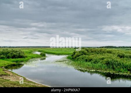 Paysage du parc national de Biebrza, rivière Biebrza et marais, prés, marécages. Podlaskie Voivodeship, Pologne. Banque D'Images