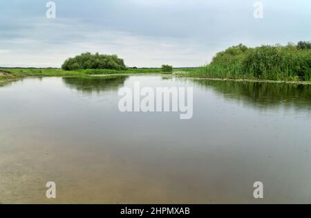 Paysage du parc national de Biebrza, rivière Biebrza et marais, prés, marécages. Podlaskie Voivodeship, Pologne. Banque D'Images