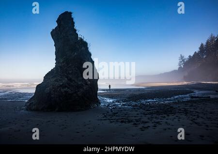 Un homme qui fait du rempart sur la côte olympique de l'État de Washington, près du delta de Mosquito Creek, Washington, États-Unis. Banque D'Images