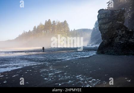 Un homme qui fait du rempart sur la côte olympique de l'État de Washington, près du delta de Mosquito Creek, Washington, États-Unis. Banque D'Images