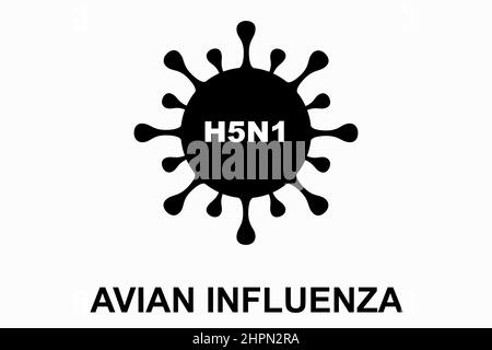 Influenza aviaire (H5N1). Illustration du virus de la grippe aviaire. Grippe aviaire H5N1 épidémique maladie. Danger de pandémie chinoise. Virus des animaux aux humains Banque D'Images