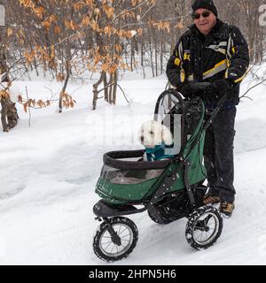 Paradise, Michigan - Un homme pousse son chien dans une poussette au parc national de Tahquamenon Falls. Il a dit que c'était un animal de compagnie plus âgé, qui ne pouvait pas marcher très loin sur le salut Banque D'Images