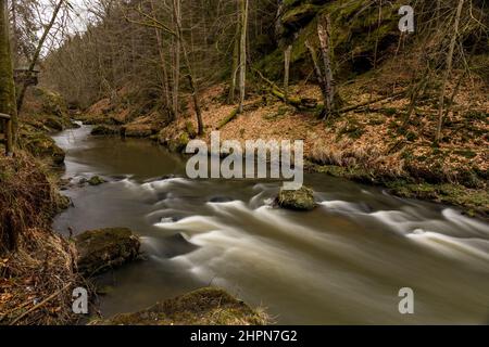 Rivière en cours d'eau Kamnitz dans les gorges de la rivière Kamenice dans le parc national de la Suisse de Bohême en Tchéquie Banque D'Images
