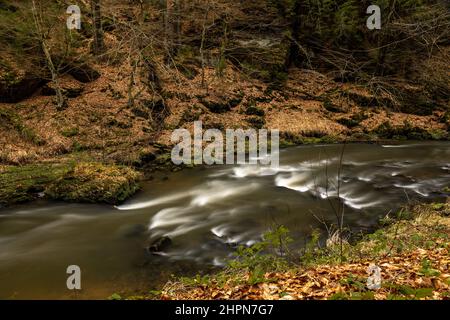 Rivière en cours d'eau Kamnitz dans les gorges de la rivière Kamenice dans le parc national de la Suisse de Bohême en Tchéquie Banque D'Images