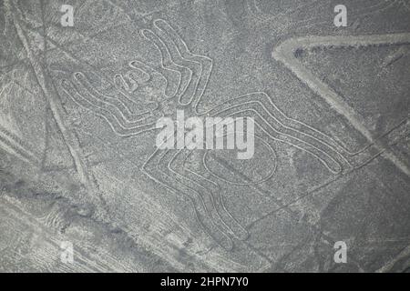 Vue aérienne de lignes de Nazca - Spider géoglyphe, Pérou. Les lignes ont été désignées comme site du patrimoine mondial de l'UNESCO en 1994. Banque D'Images