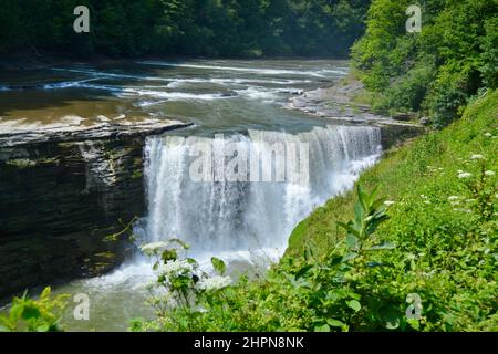 Vue sur les chutes inférieures le long de la rivière Genesee au parc national de Letchworth en été Banque D'Images