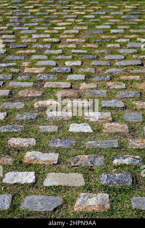 Pavé avec fond d'herbe, Rio Banque D'Images