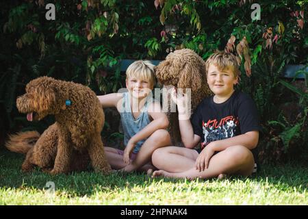 Garçons assis sur l'herbe avec deux chiens de race Golden Doodle Banque D'Images